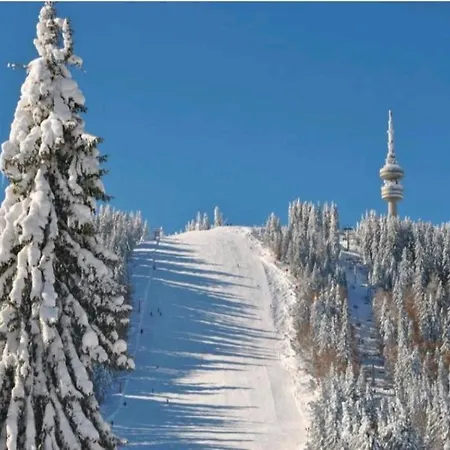 Daire Private In Grand Monastery Pamporovo