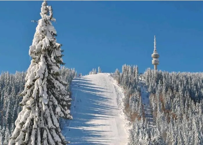 Apartament Private In Grand Monastery Pamporovo